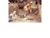 Cave 4