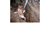 Cave 4