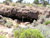 Cave 3