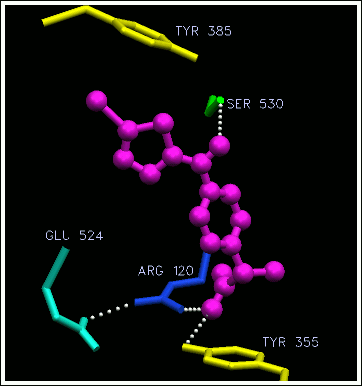 NSAID at active site