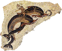 Porpoise Mosaic
