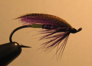 Photo: purple steelhead fly