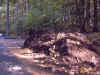 Image010.jpg (111576 bytes)