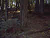 Image014.jpg (73117 bytes)
