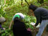 Image036.jpg (39742 bytes)