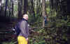 Image050.jpg (39597 bytes)