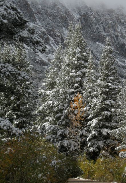 North Lake layers