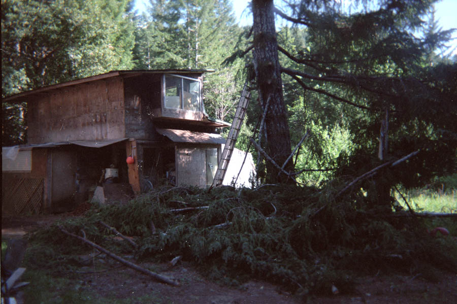 cabin1