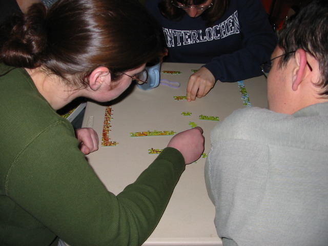 ...und Deutschland-Puzzle