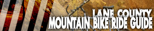 MBRG Banner