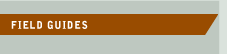 Field Guides header