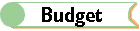 budget.gif (910 bytes)