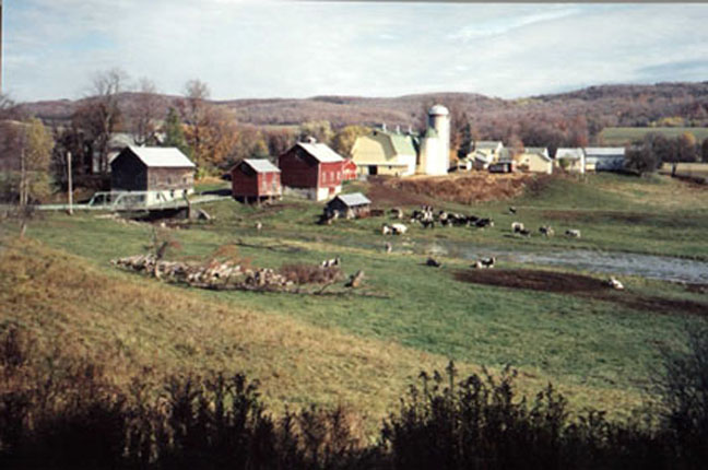 Family Dairy Farm