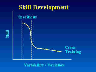 Skill Development Model