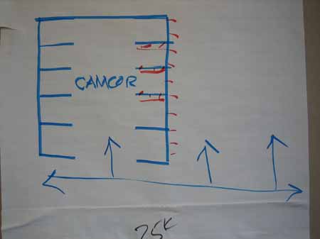 CAMCORdiagram