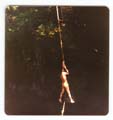 ropeswing2