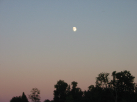 The moon at 8:04PM