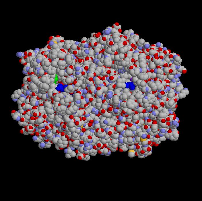 COX-1 dimer