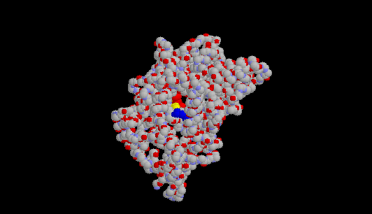 a subunit of COX-1