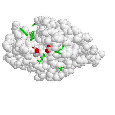 above the groove in lysozyme