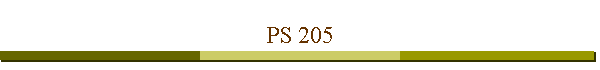 PS 205