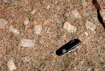 Granodiorite with feldspar megacrysts