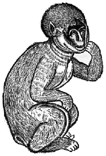 Woodcut of an ape used on the original title page.