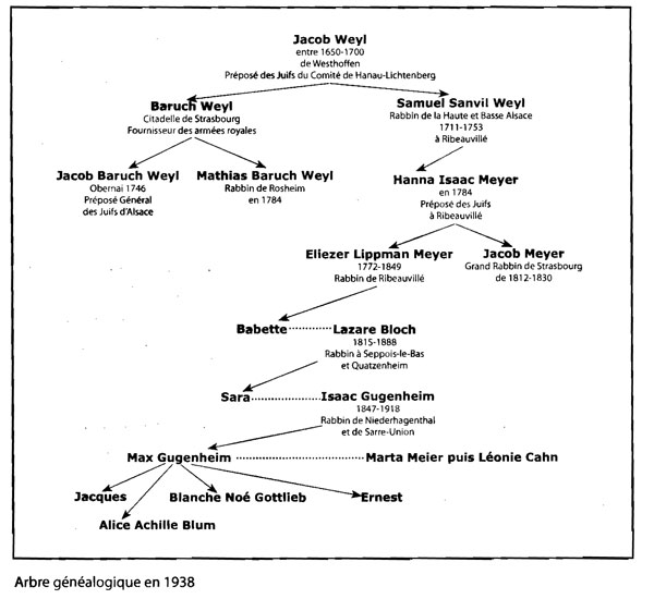 Gugenheim Genealogy