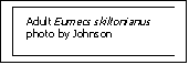 Text Box:    